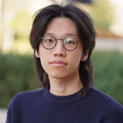 David portrait